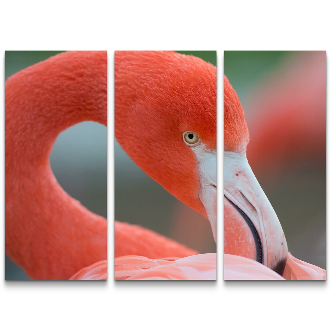 3-tlg. Leinwandbilder-Set Flamingo