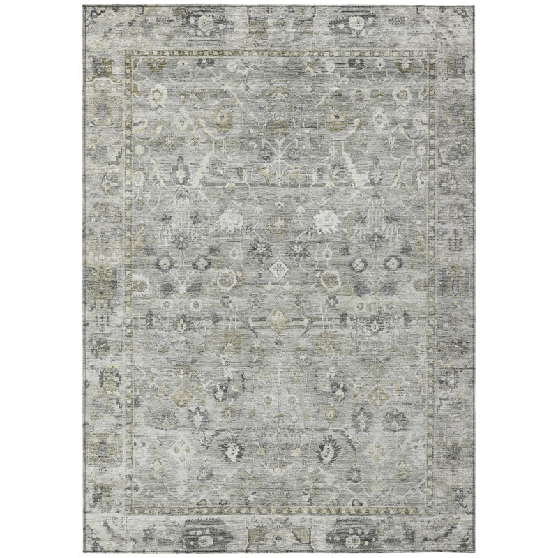 Machine Washable Indoor/Outdoor Xhevrie Pewter Rug, Rectangle 8' x 10'