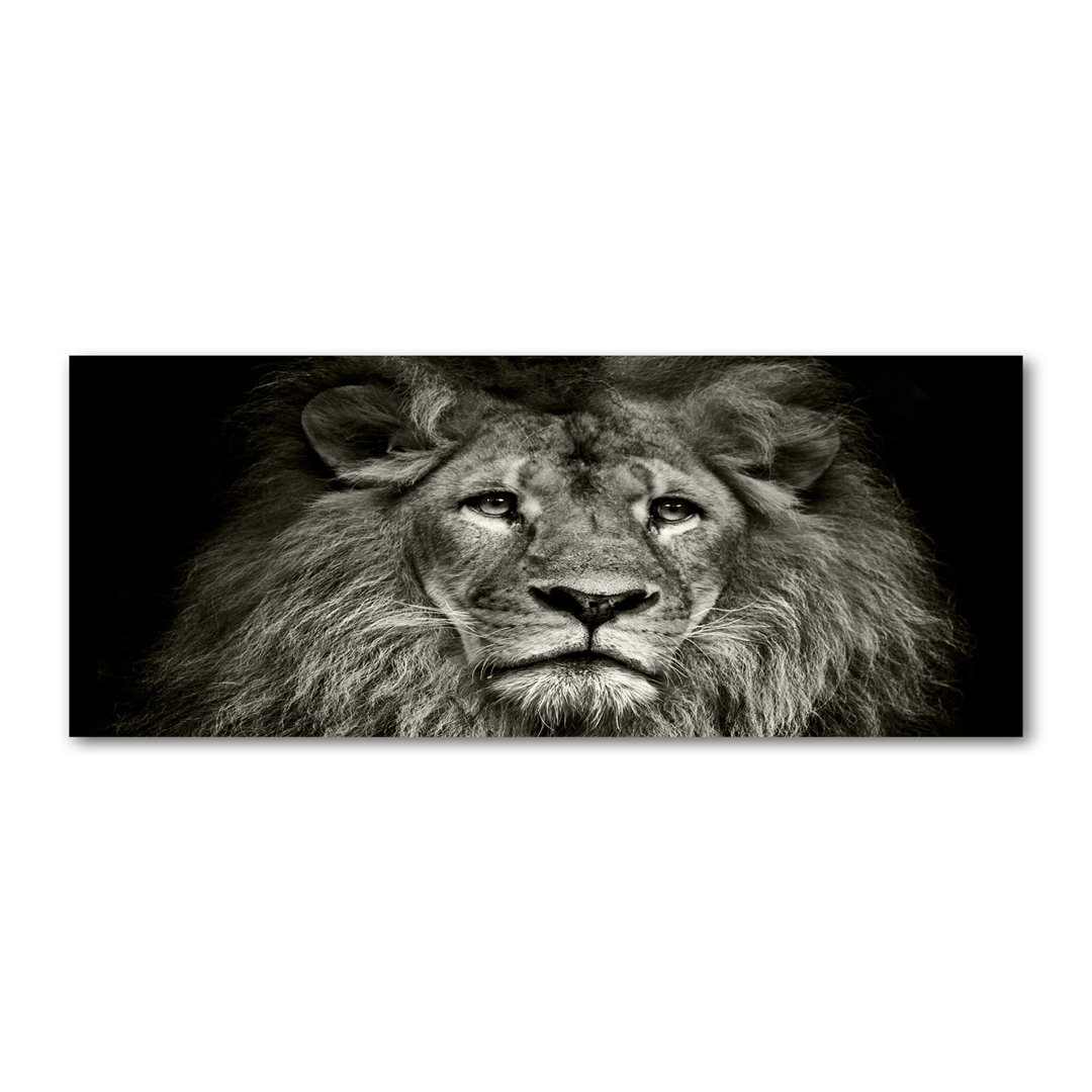 Kunstdruck Lion