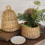 Joss & Main Clove Wicker Storage Bin