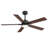 Rolanda 52" 5-inch Downrod Mount Ceiling Fan with Light Kit and Remote Control-1927761624