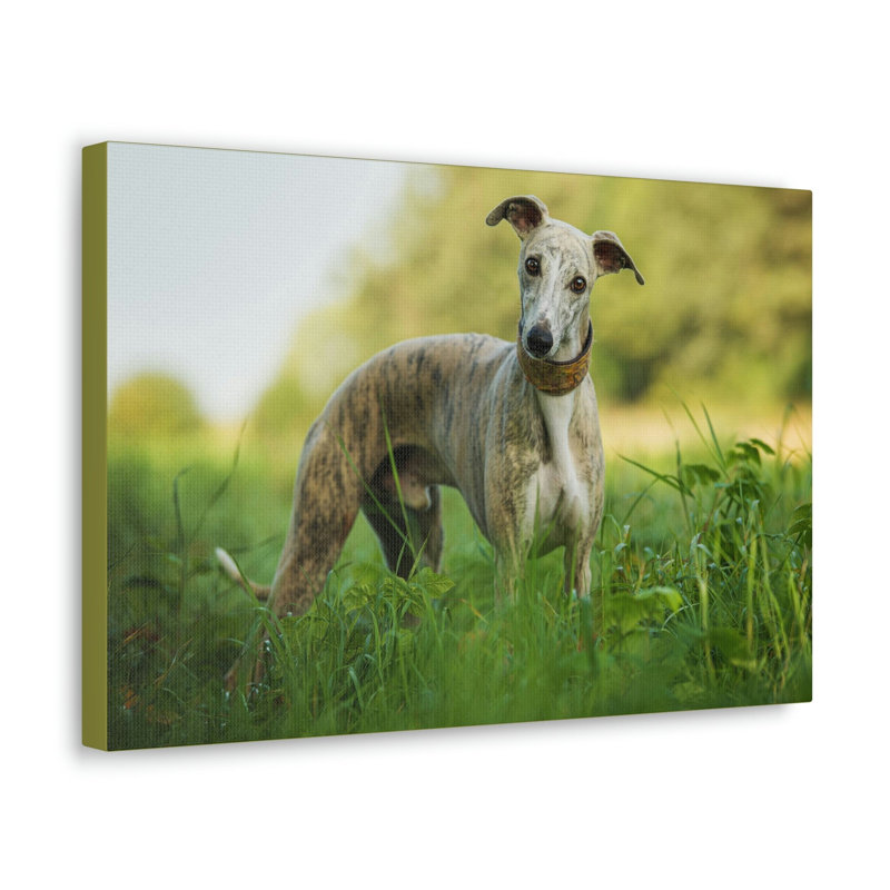 No Frame Print on Canvas, 30.48cm H x 45.72cm W