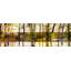 Parvez Taj - Wrapped Canvas Print-12309828