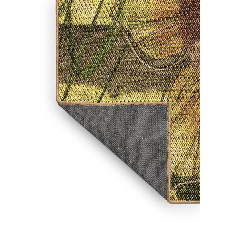 Tapis brun, Rectangle 4 pi x 6 pi