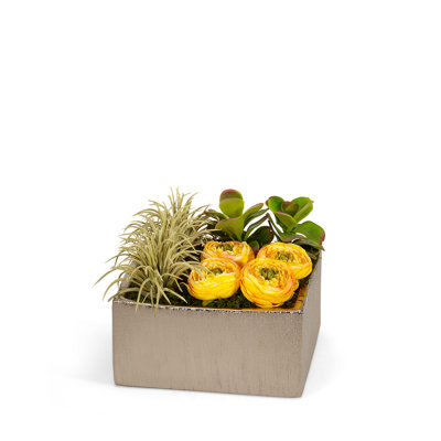 Geometric Arrangement in Planter