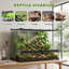Reptile Box
