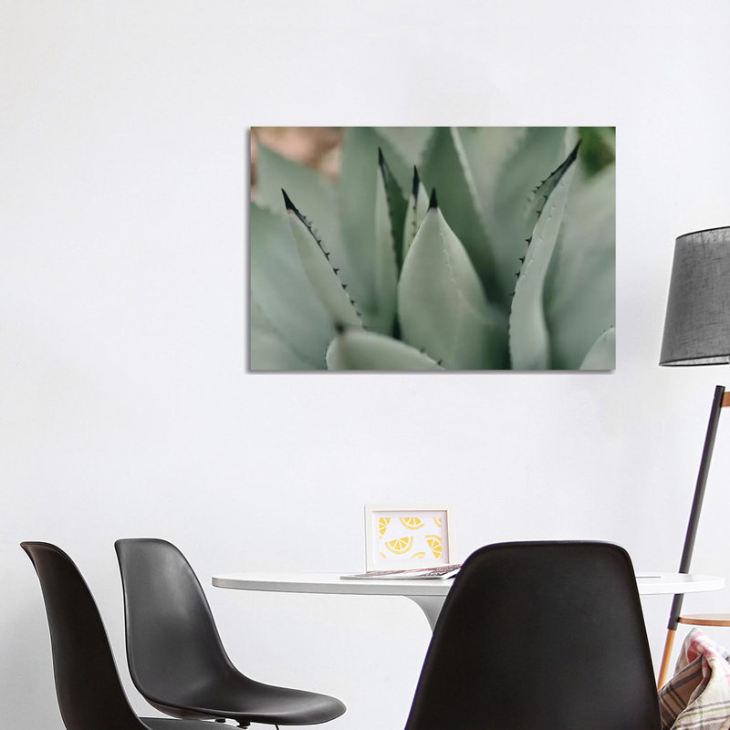 Mint Succulent II by Chelsea Victoria - Wrapped Canvas Print, 101.6 cm H x 66.04 cm W x 3.175 cm D