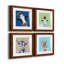 «Playful Nature», ensemble de 4 impressions sur toile encadrées-1525193671-1525193673