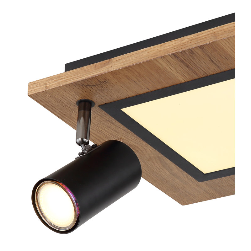 Ayela LED Spotlight
