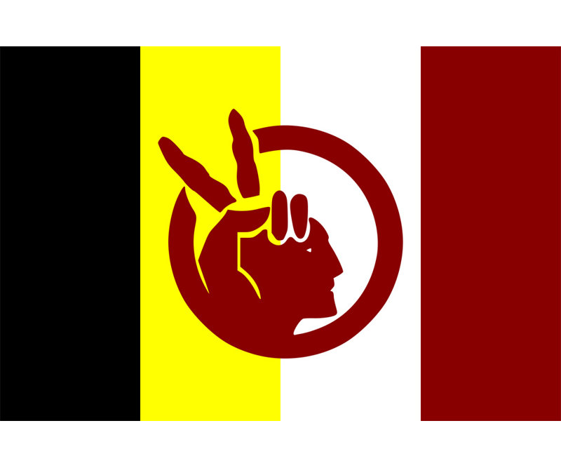 Native American Indian Movement