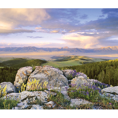 Wall Mural