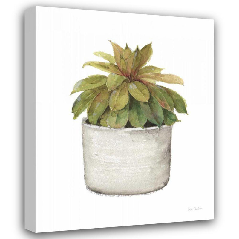 Lark Manor ™, œuvre d'art sur toile tendue de la galerie Lisa: Mixed Greens Succulent III, H 18 po x l 15 po