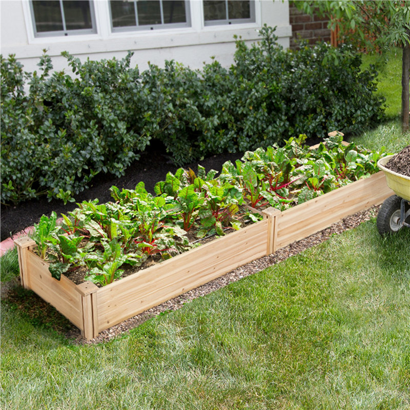 Cisbrough Multi-sized Outdoor Fir Wood Elevated Planter Box for Yard, 11" H X 95" W X 25" D, Wood