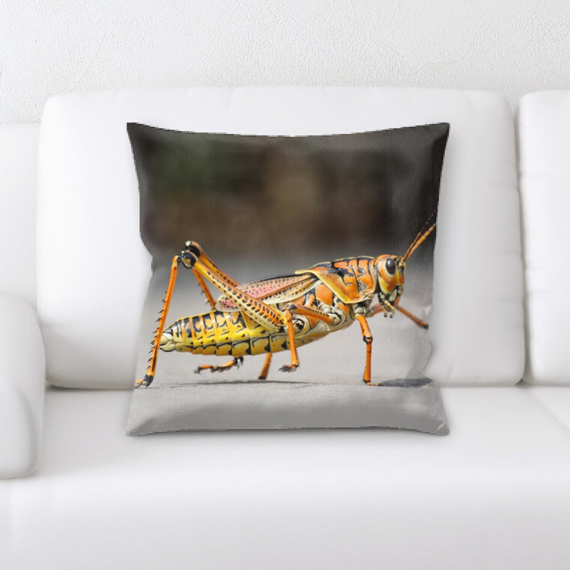 Coussin sauterelle