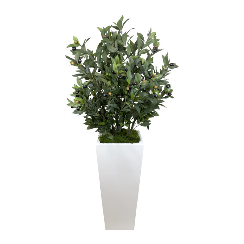 Olive Tree Artificial in Fiberstone Planter