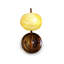Kovach Armed Sconce