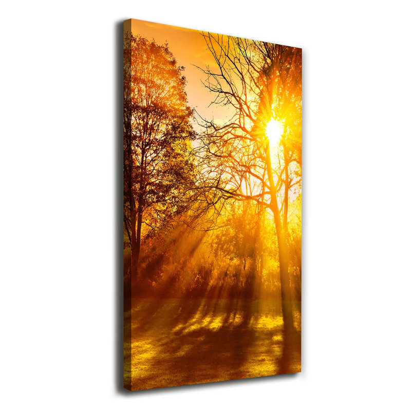 Park In The Fall - Wrapped Canvas Print, 120cm H x 60cm W