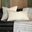 Thom Filicia Pillows Lumbar Pillow Cover & Insert-11849724