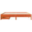 Storage Bed-124964341-124964336
