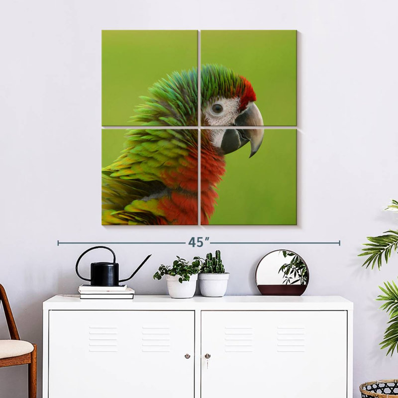 Brampt Macaw Bird Head, 32" H x 32" W