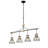 Dining Room Light Fixture/Chandelier Over Table