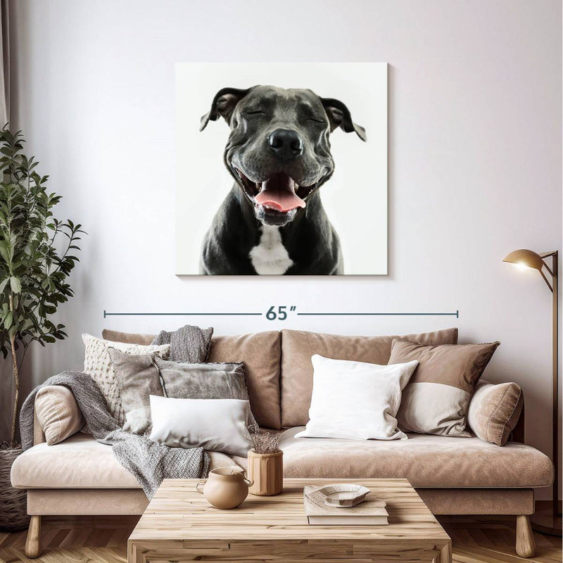 Crowle Smiling Black Pitbull