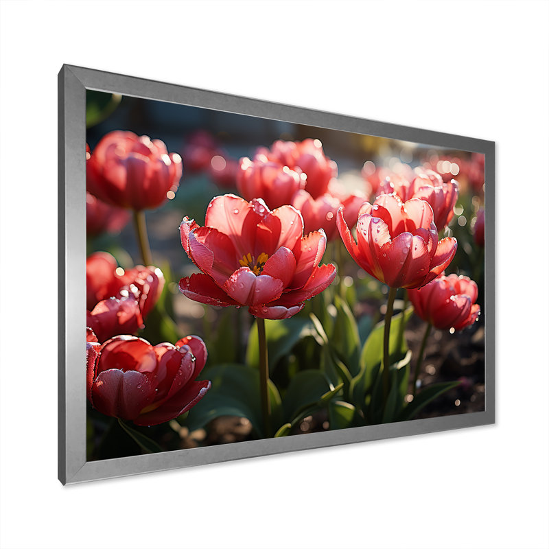 «Crimson Red Tulips Sway In A Sunlit Garden» sur toile, Cadre simple argenté, H 34 po x l 44 po x P 1,5 po