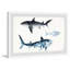 «The Sharks» de Cintron, reproduction encadrée-1564072019