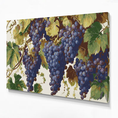 Fruit Grape Delaware Purple Canvas Wall Art