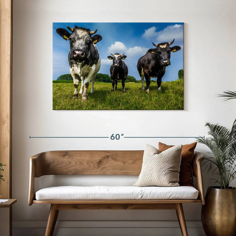 Vache, H 30 po x l 45 po