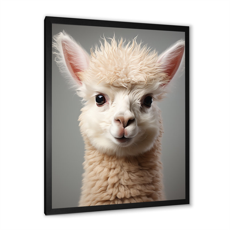 Blanc alpaga majestueux - art mural Alpaca, Cadre simple noir, H 44 po x l 34 po x P 1,5 po