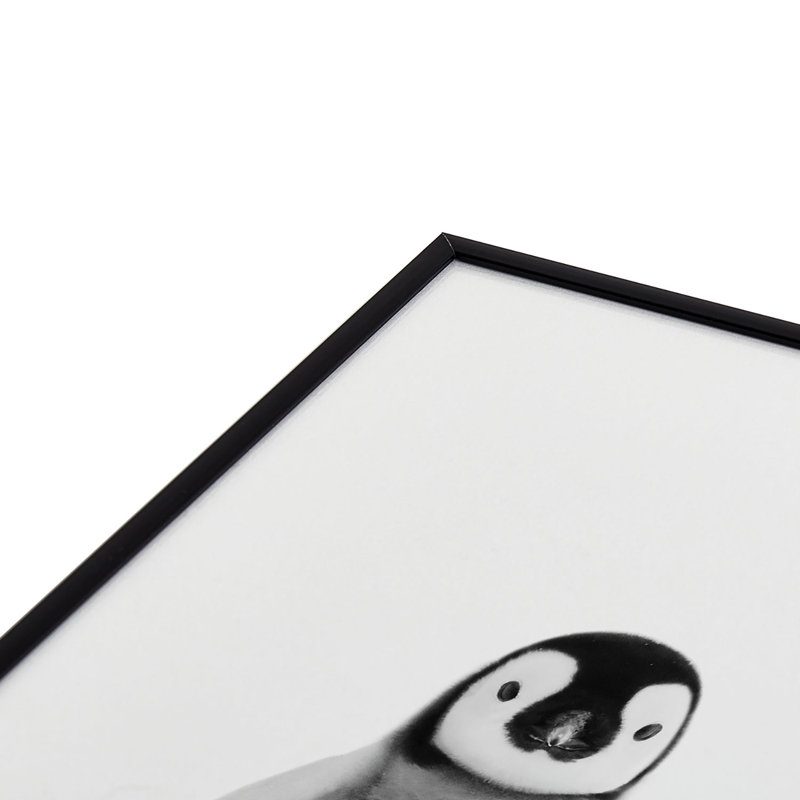 " Baby Penguin Black White ", Black, 10" H x 10" W x 1" D