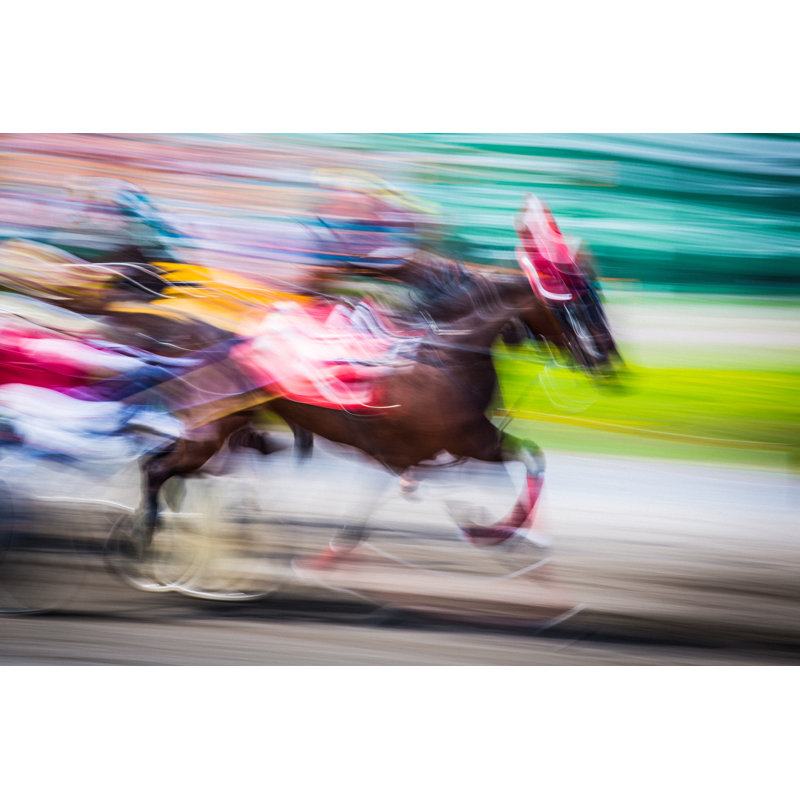 Horseracing by Instants - Print, 51cm H x 76cm W