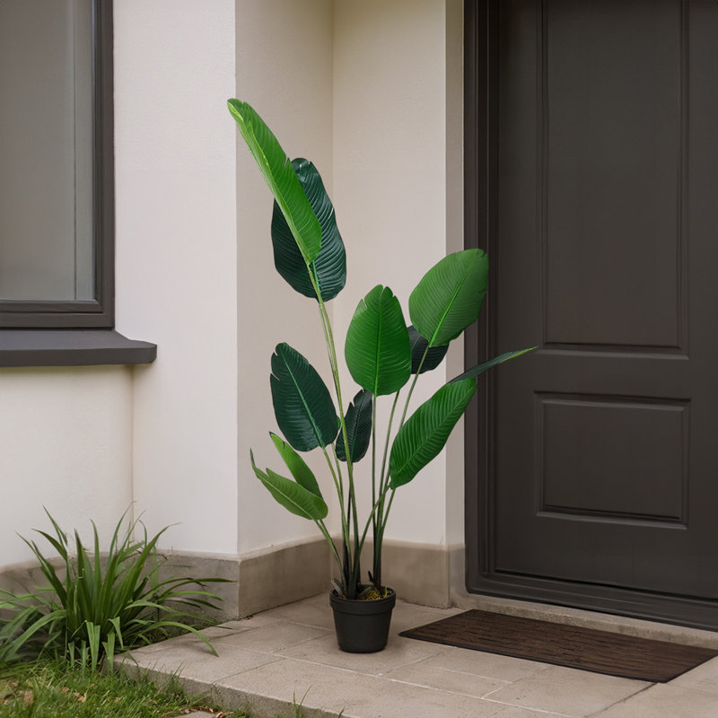 180cm Faux Bonsai Plant in Fabric；Plastic Freestanding