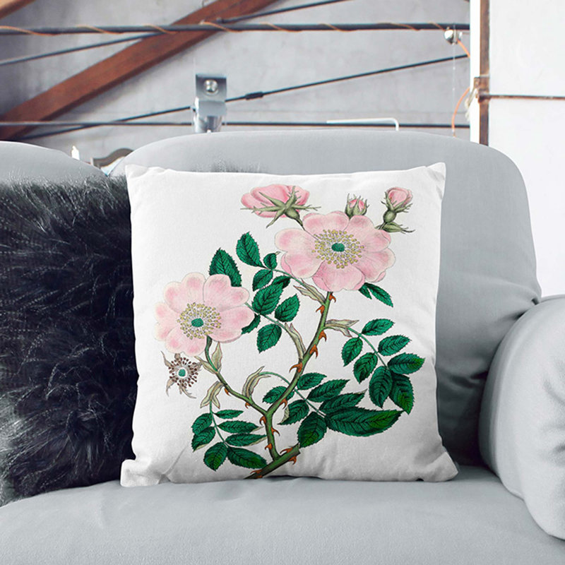 Pink Dog Rose Illustration Cushion with Filling, 40cm H x 40cm W x 15cm D