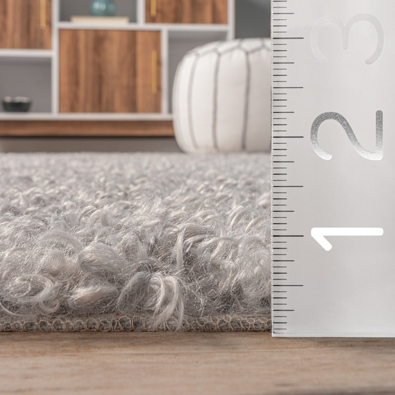 Machine Washable Light Gray Area Rug, Rectangle 4' x 6'