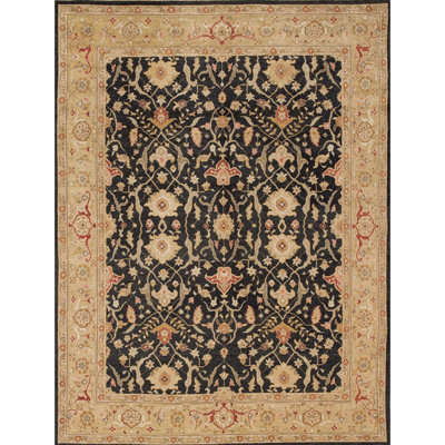 Wool Oriental Area Rug in Black/Brown/Red