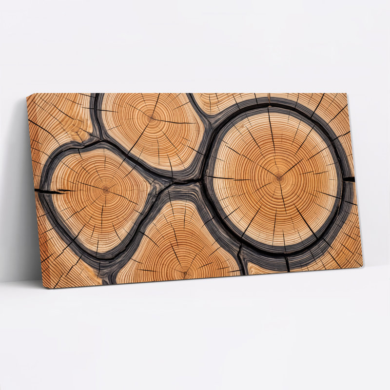 Anneau d'arbre en bois naturel, L 46 po x H 24 po