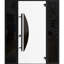 Porte avant en acier pré-suspendue avant / teck Ronex 1077/2 fenêtres latérales extérieures latérales / entrée en métal peint moderne l 12 + 36 + 12 po x H 80 po à gauche-98195747-98195750