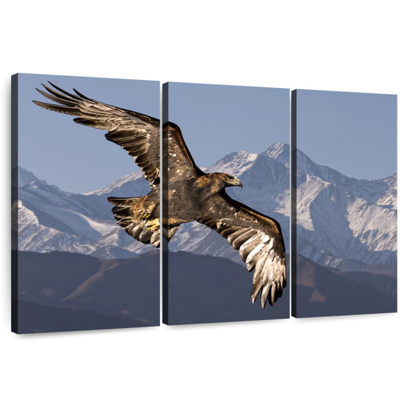 Eagle And Snowy Mountains, 24" H x 38" W