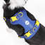 Harnais pour animal de compagnie Arlo-128618013-112400926