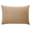 Prospect Park Lumbar Pillow Cover & Insert-15593364