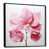 White Picture Framed