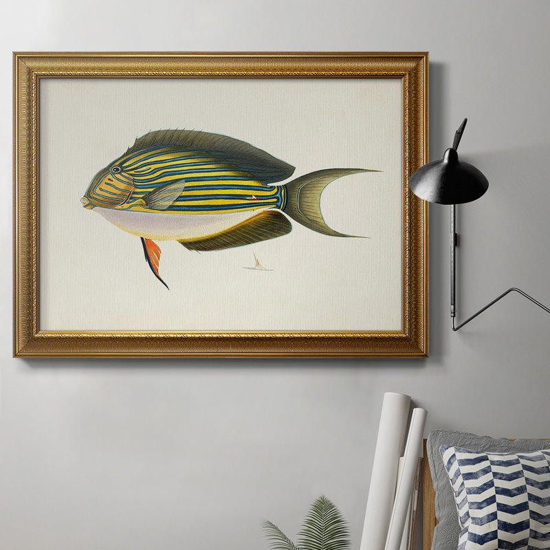 «Tropical Fish Collection I», peinture sur toile encadrée, H 16 po x l 20 po