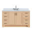 ARIEL TAYLOR 61 IN RECTANGLE SINK VANITY-1966789389-1977495147