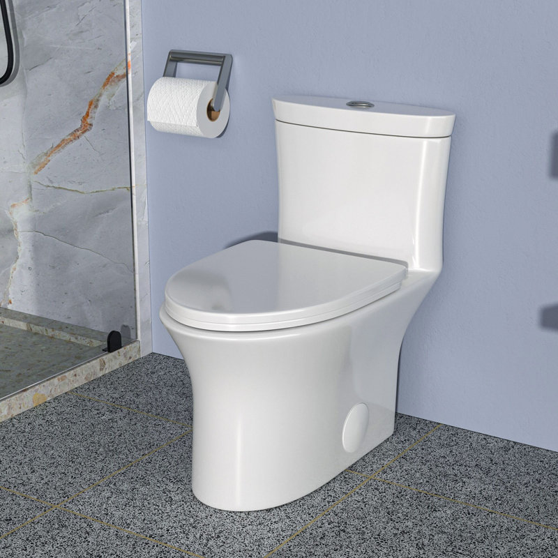 Toilette une pièce Rainlex RX-T38W