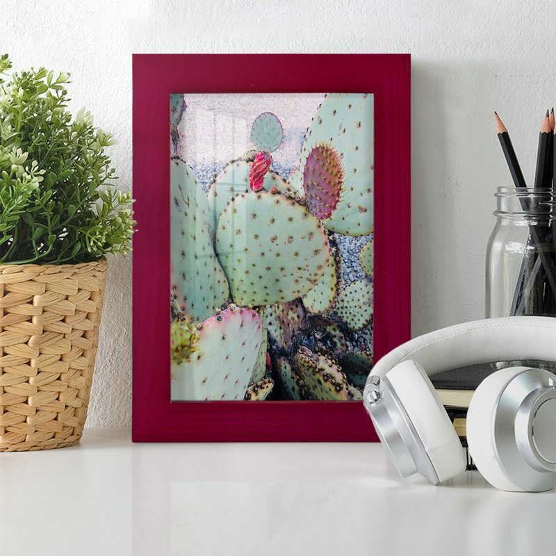 Rose vert cactus II encadré sur papier, Rouge, H 6 po x l 4 po x P 1 po