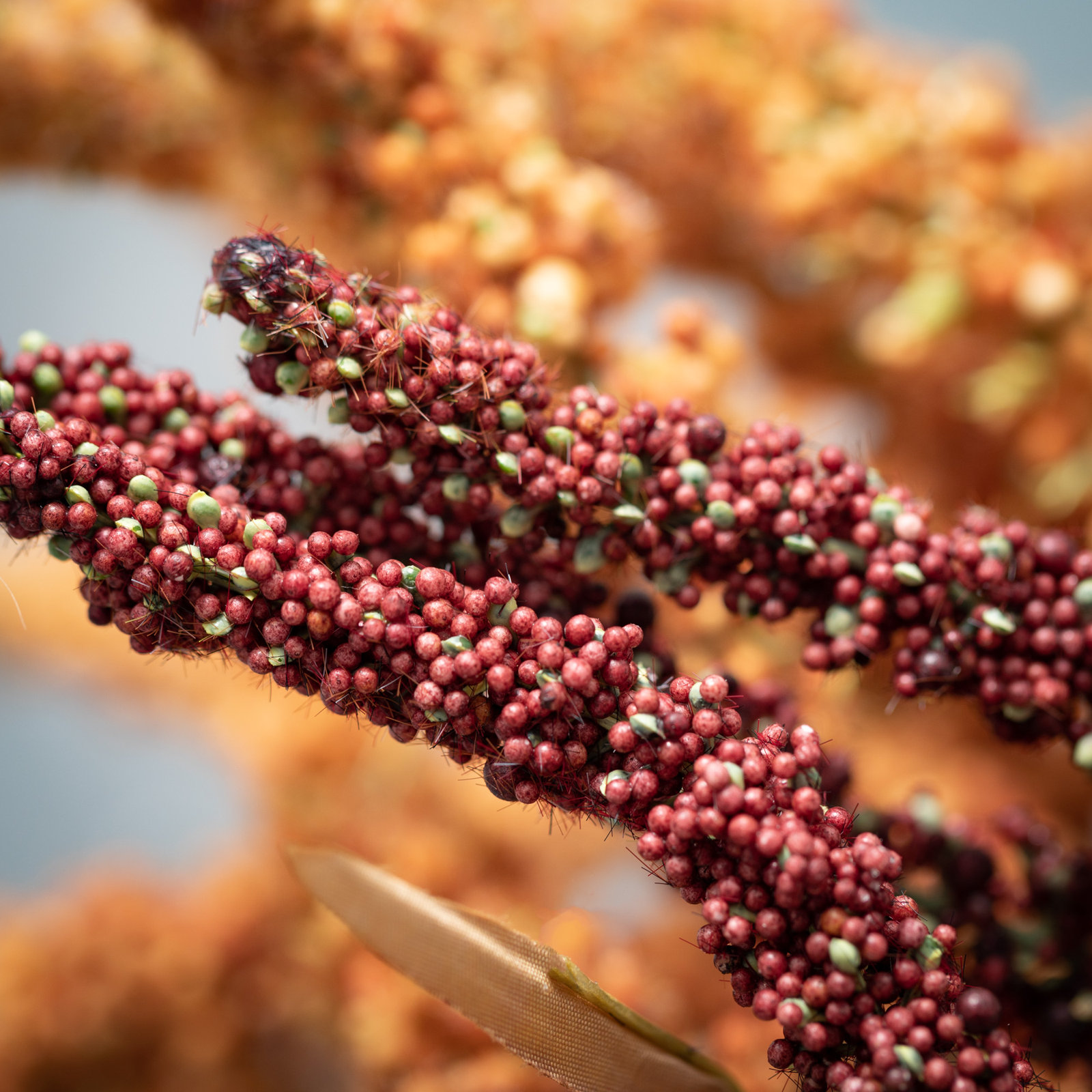 Artificial Millet Sprays
