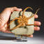Genuine Ophiuroidea Brittle Star Fossil with Customized Display Stand (1.8 lbs)