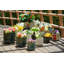 Ensemble de 3 pots de fleurs blanc antique